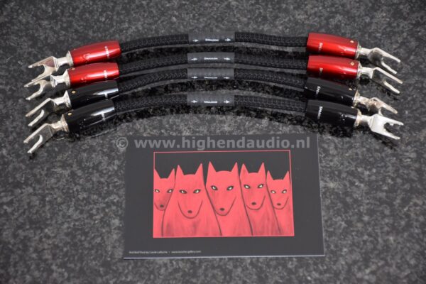 Audioquest Dragon Jumpers -SOLD-
